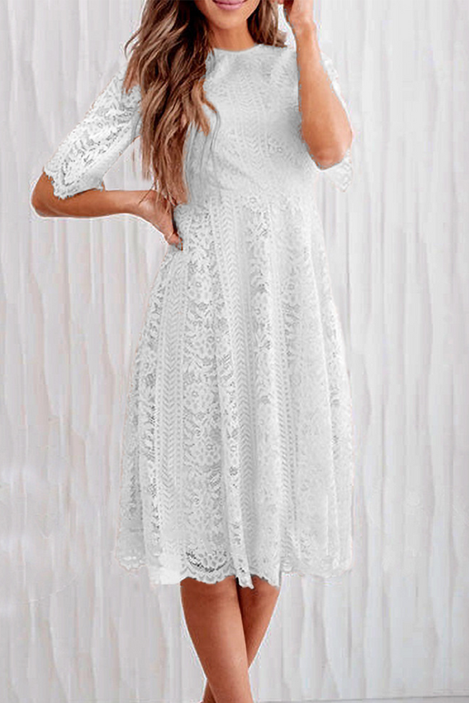 Casual Solid Lace O Neck Cake Skirt Dresses(3 colors)
